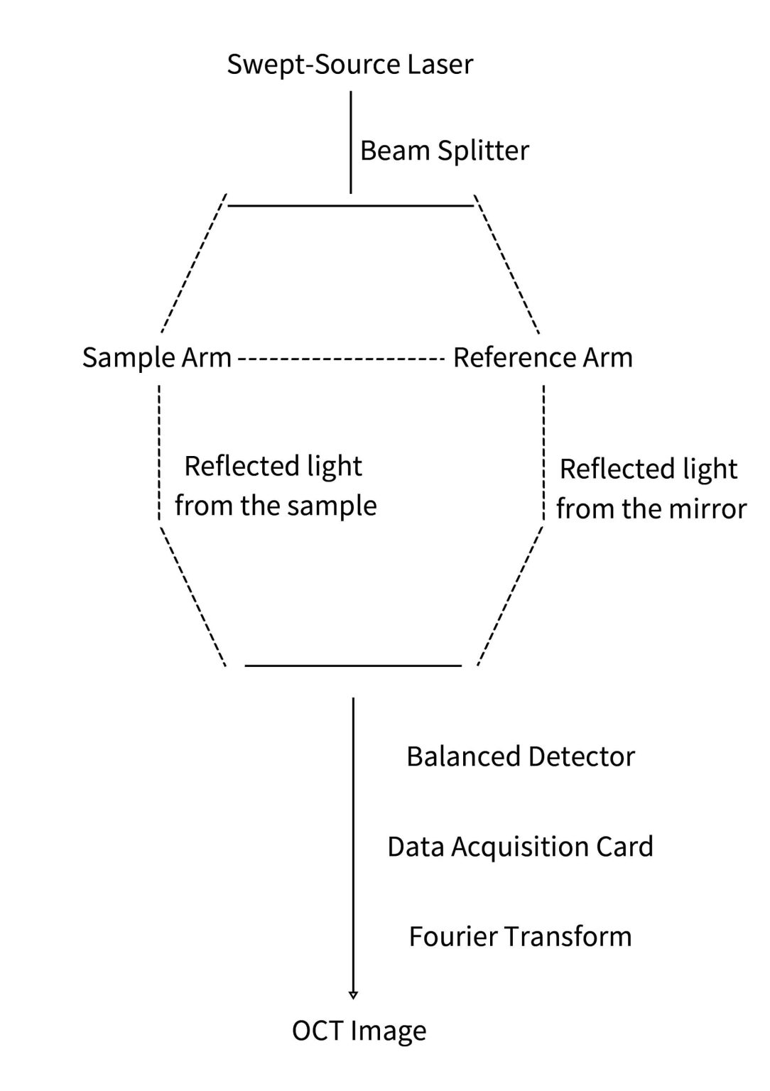 Oct Technology Simplified OCT Technology Principle – CLAIRVO MEDTECH
